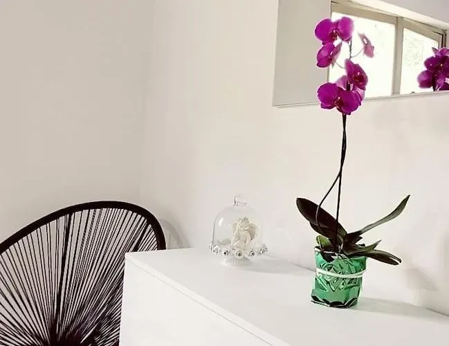 아파트 Casa Giuly , Attico Sul *